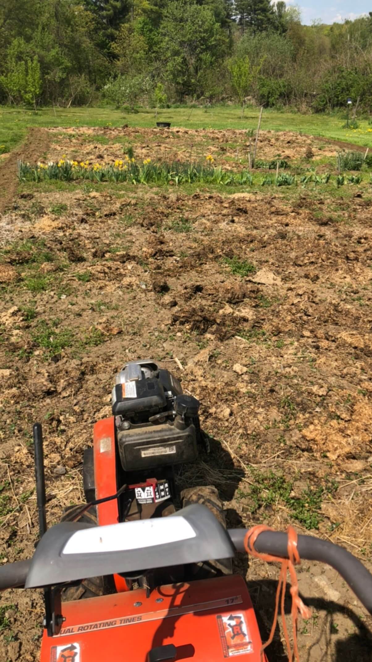 rototiller tilling in compost for planting