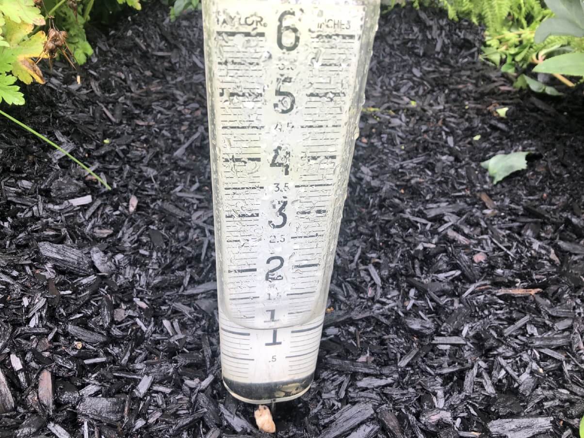 rain gauge with 1 inch of rain in it