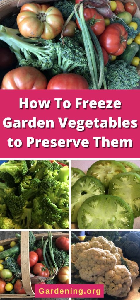 How To Freeze Garden Vegetables to Preserve Them pinterest image.