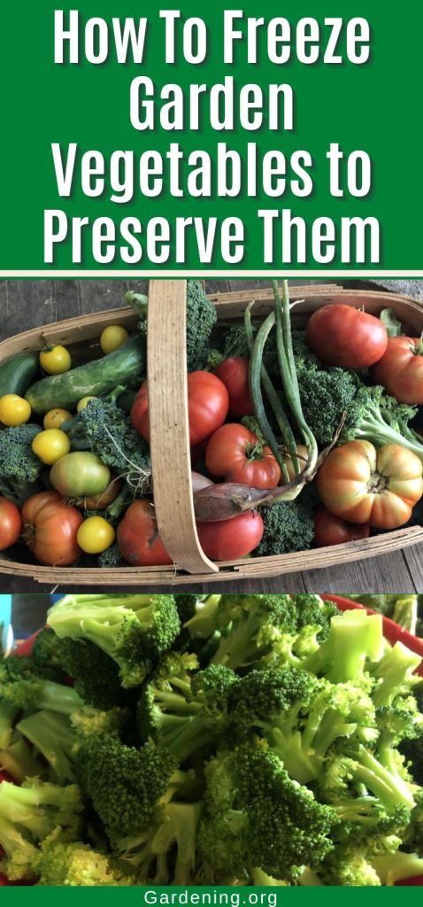 How To Freeze Garden Vegetables to Preserve Them pinterest image.
