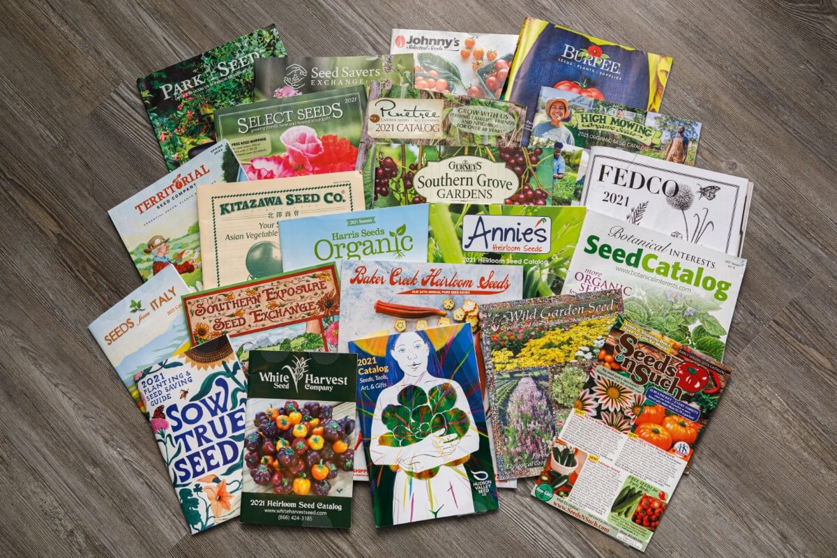 a collection of seed catalogs spread out in a display