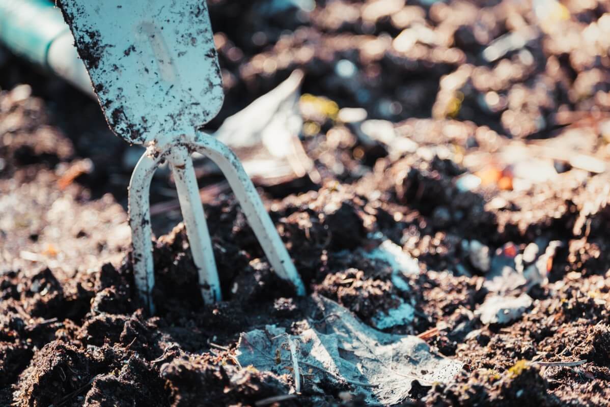 garden fork in fall garden soil