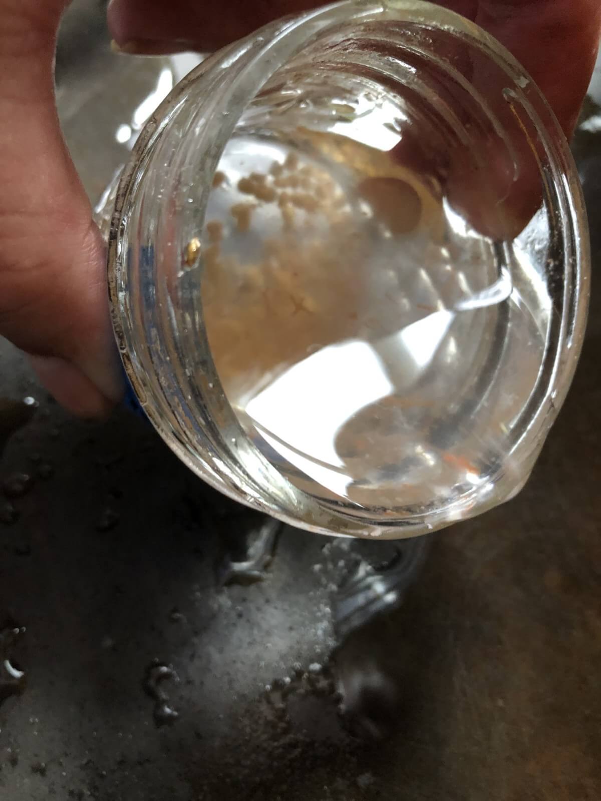 pouring off water from cleaned seeds