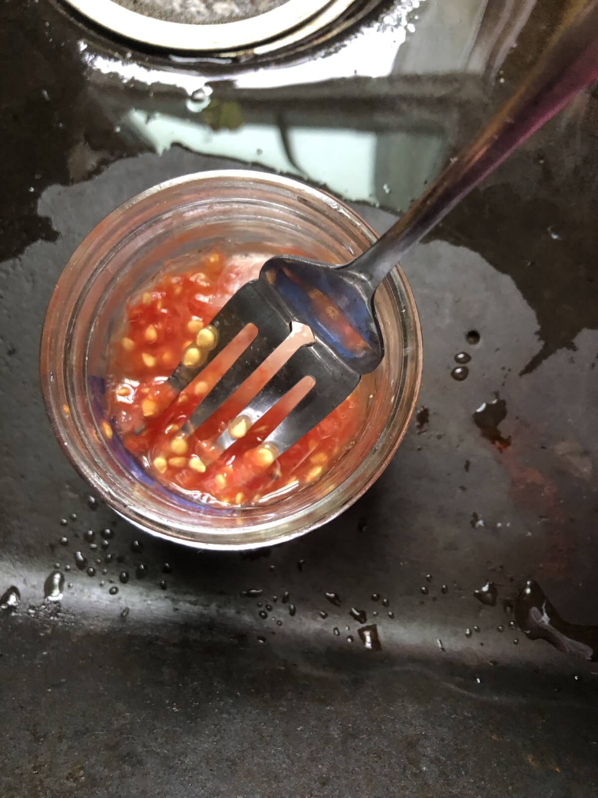 tomato seeds on a fork with gel covering