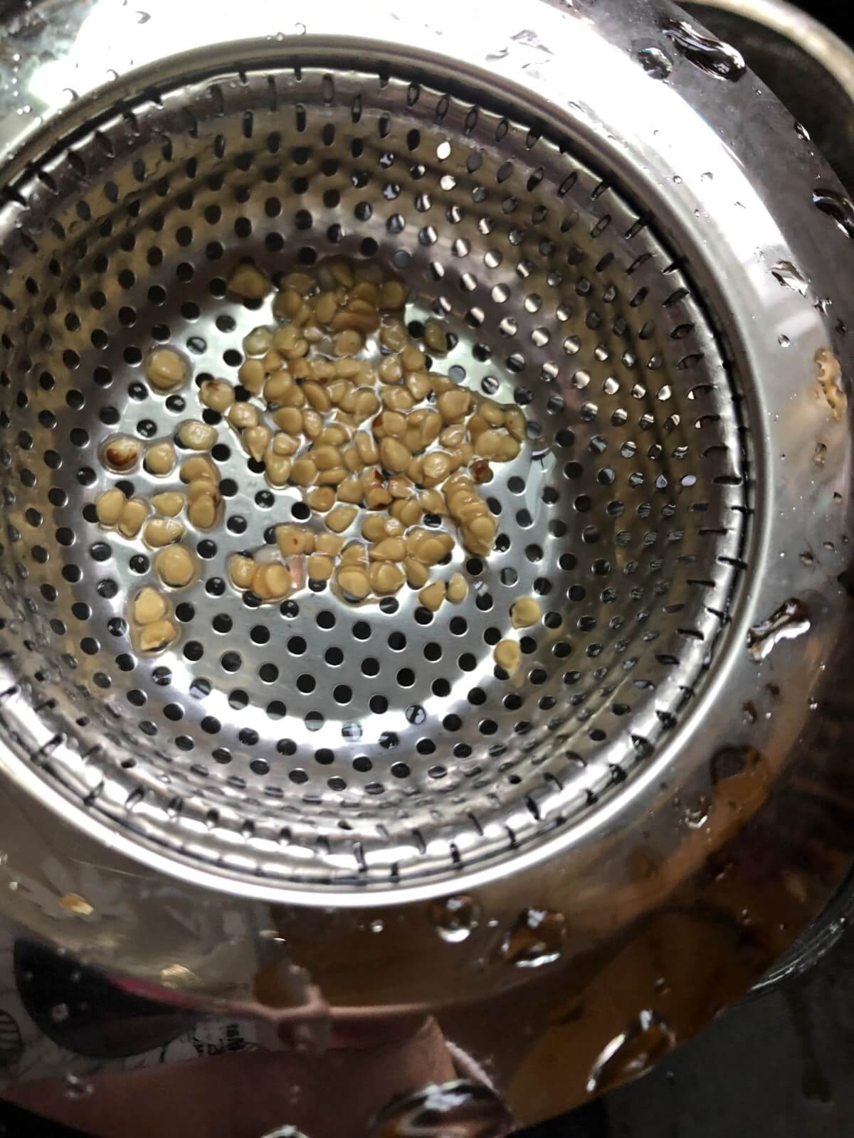 tomato seeds in small sink strainer ready for drying