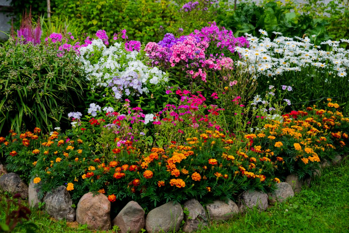 a mix of colorful native perennials planted in a flower bed