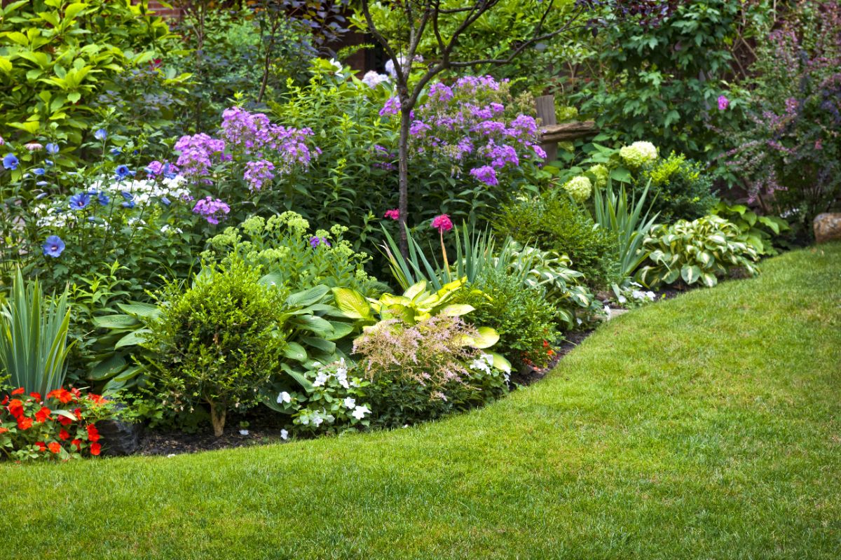 mixed planting landscape feature with brightly colored plants