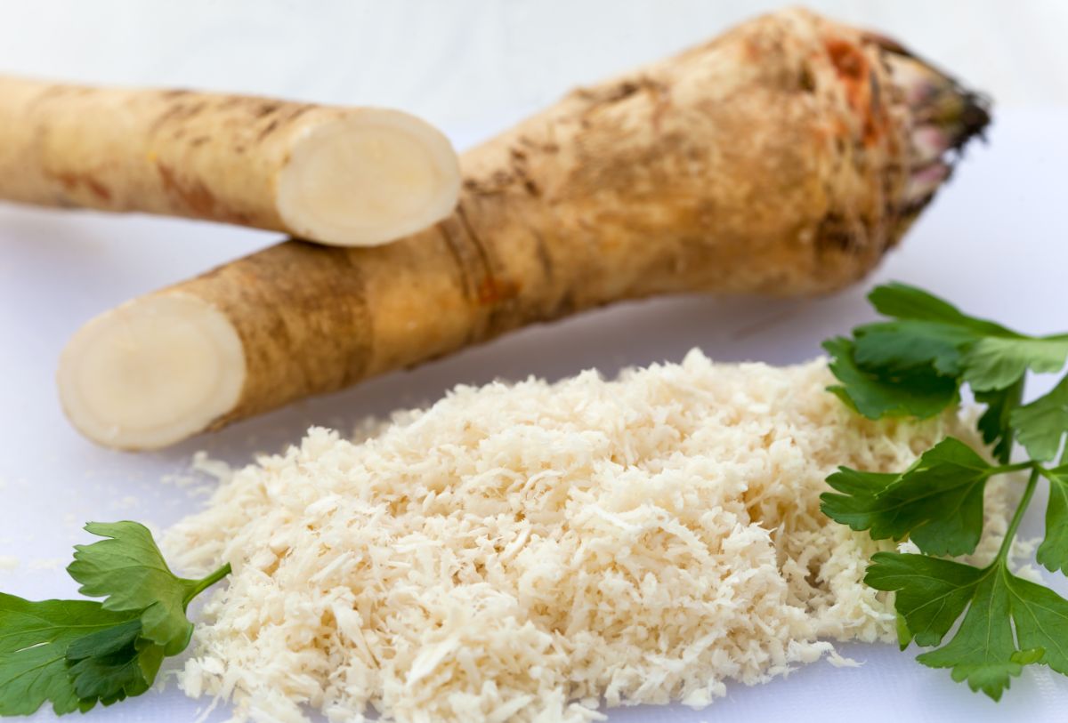 horseradish root with grated horseradish nest to it