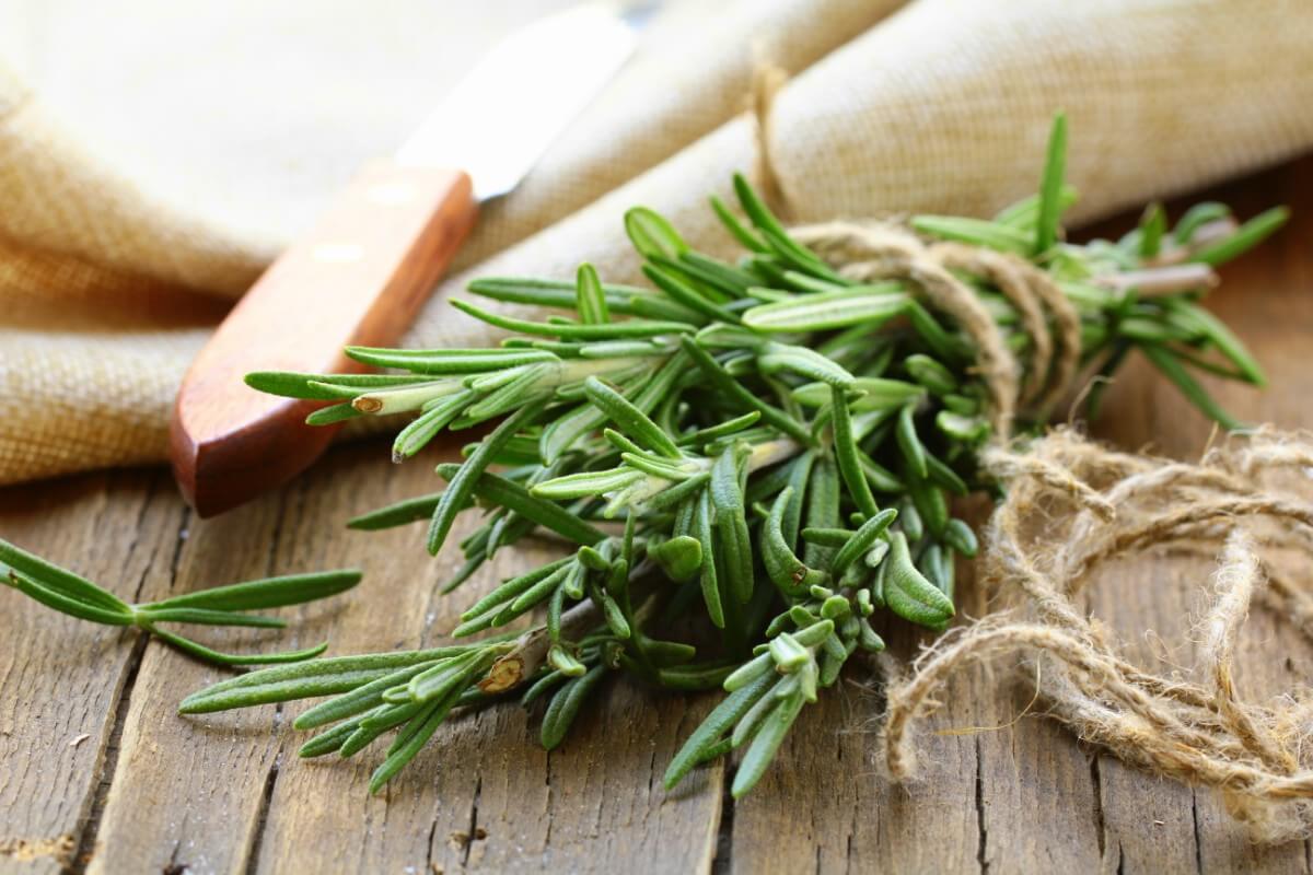 bunch of rosemary tied with brown twine