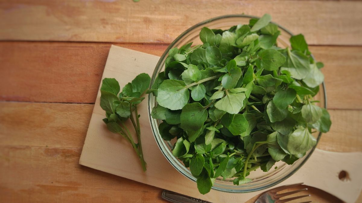 bowl full of watercress