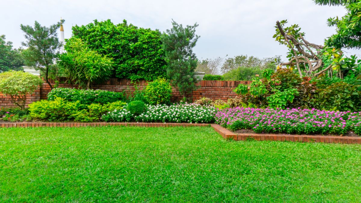 A nicely balanced landscape in a backyard using evergreens