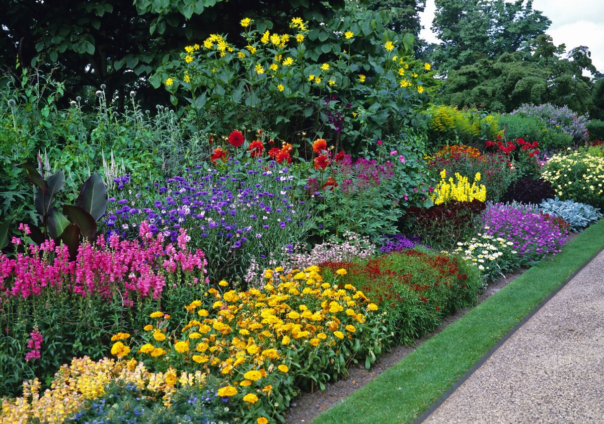 a bright and colorful perennial garden bordering the long edge of a lawn