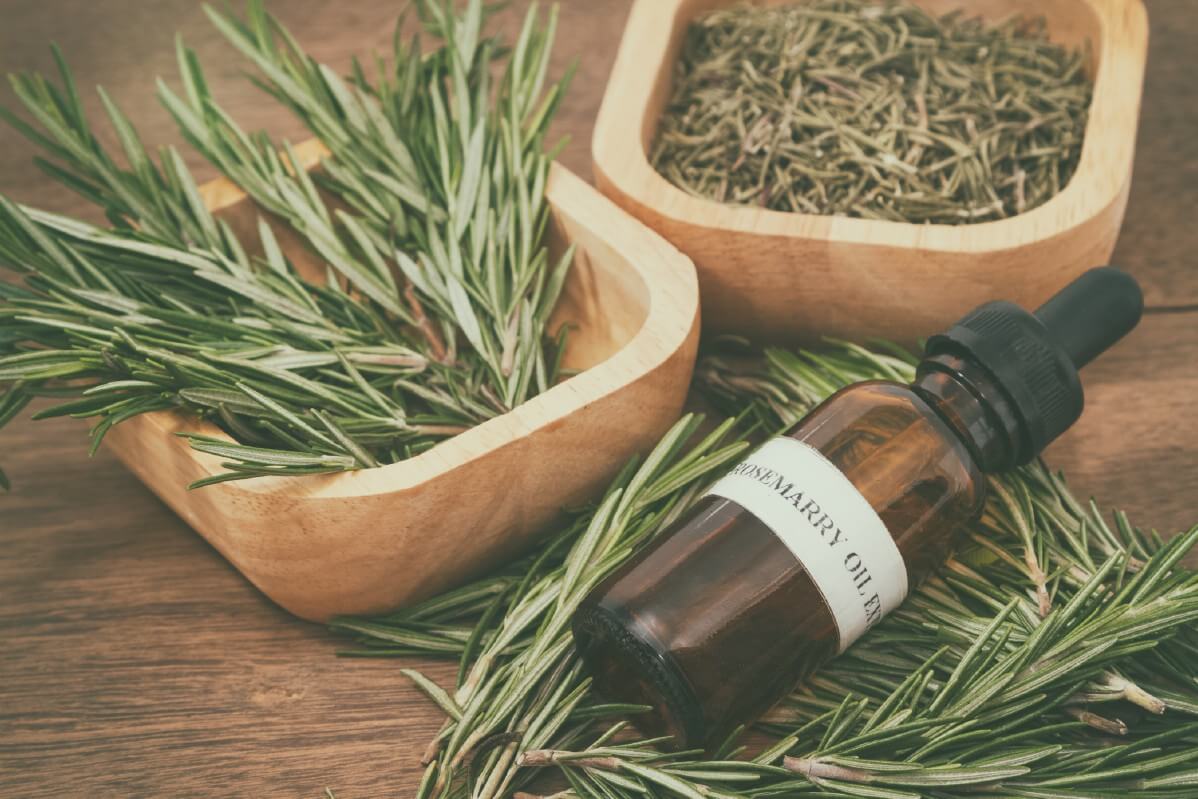 rosemary sprigs, dried rosemary, and rosemary essential oil