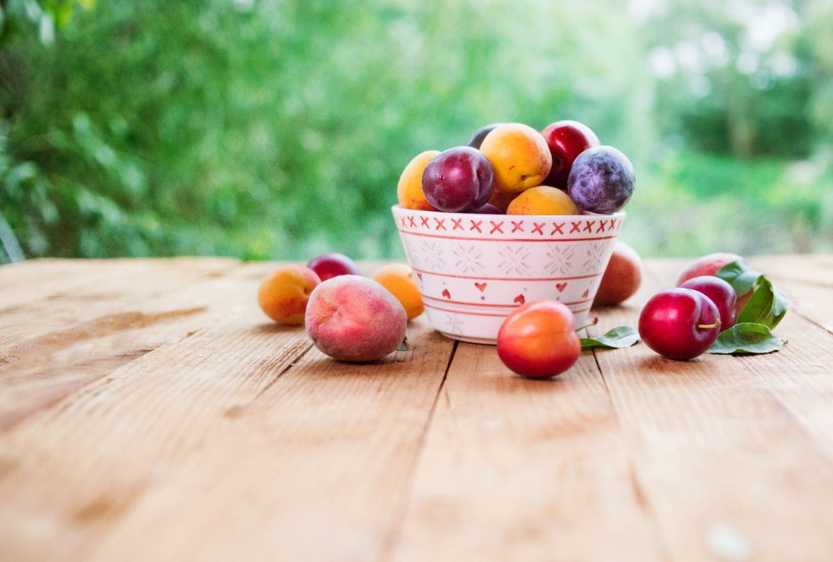 bowl of plums and stone fruits