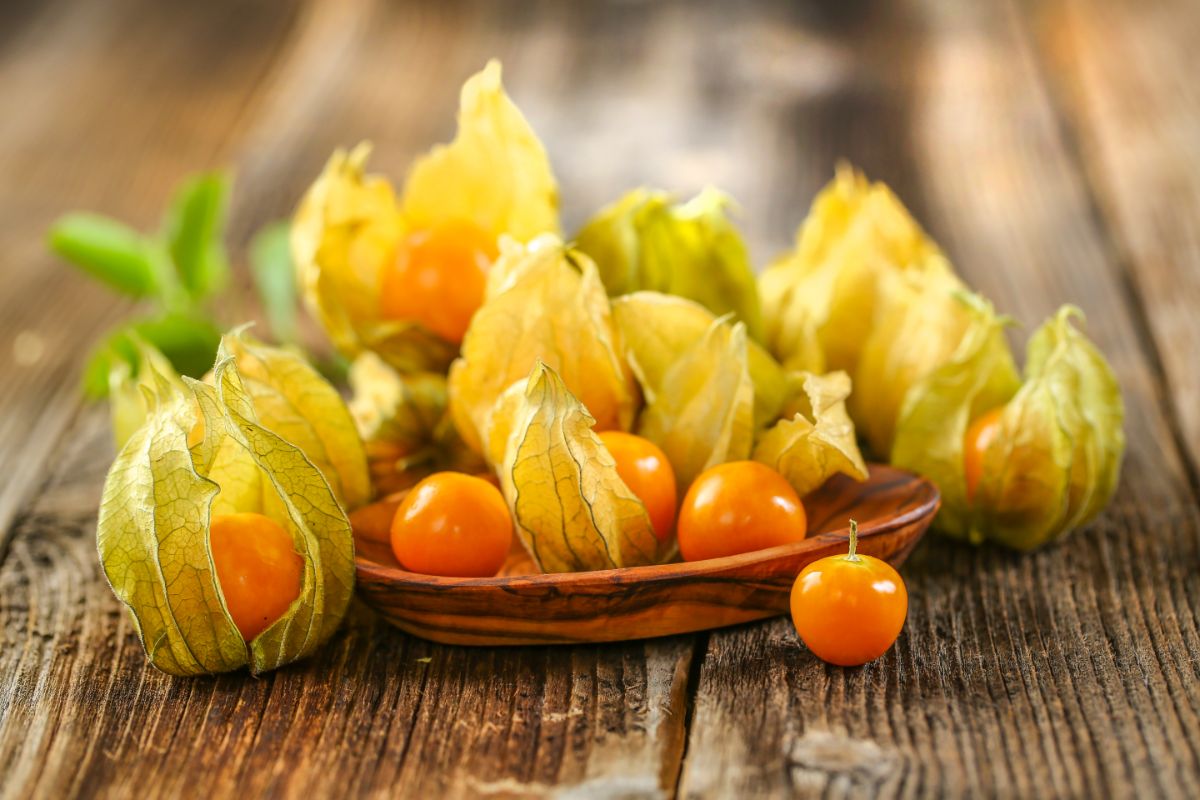 orange cherry-sized Physalis peruviana 