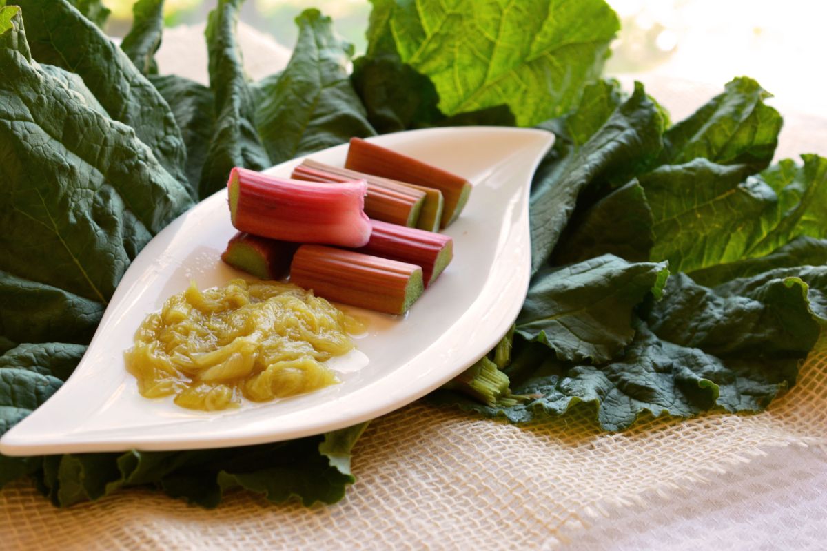 platter with cut stalks of rhubarb and rhubarb sauce