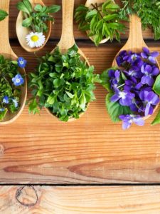cropped-1-Edible-Perennials.jpg