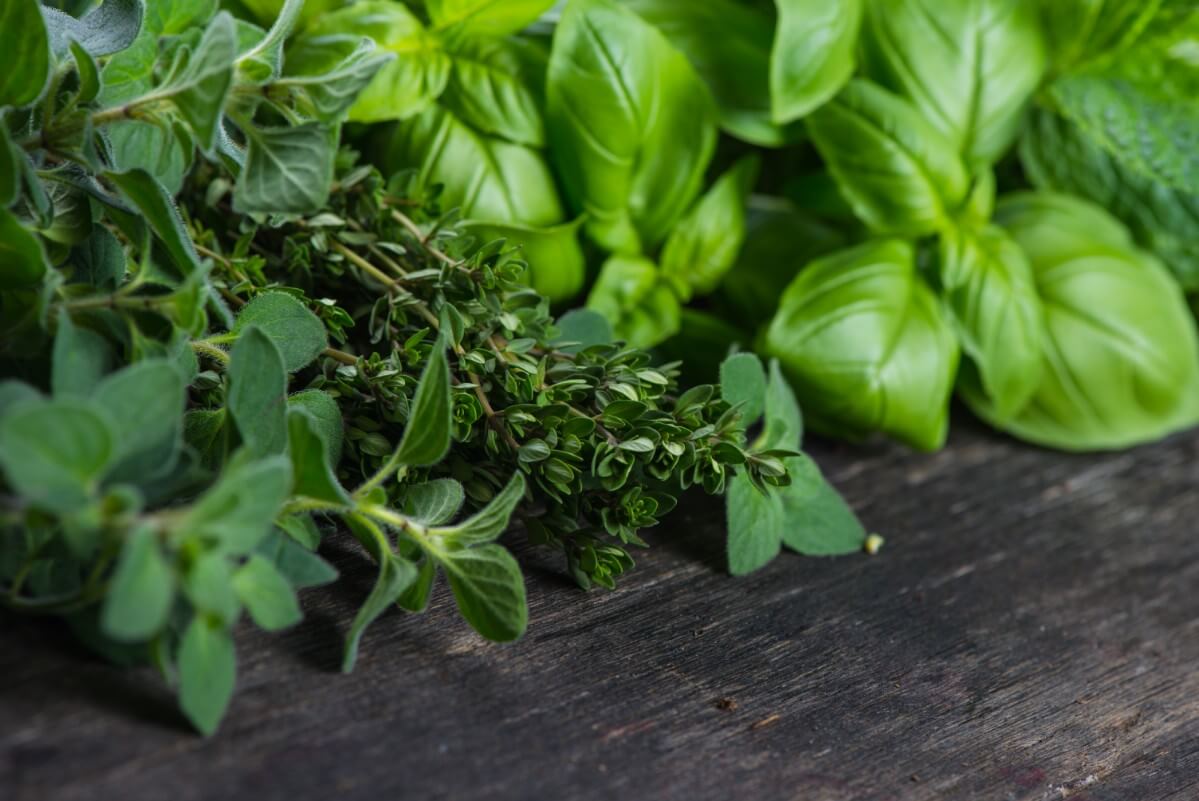 bunches of cut fresh herbs