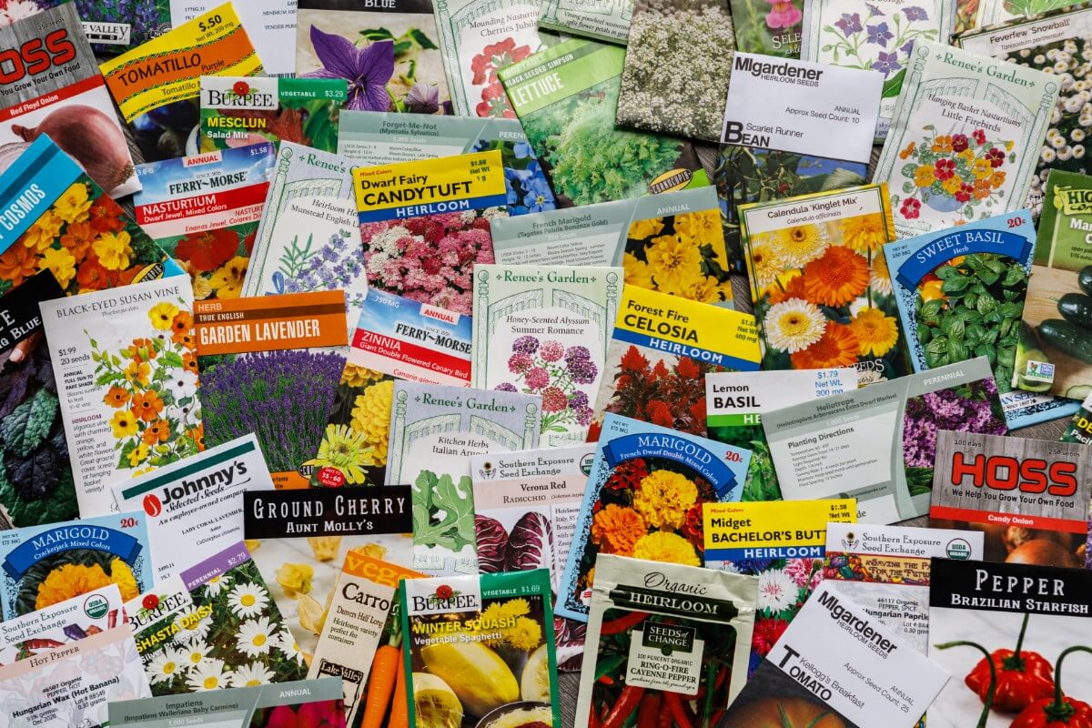 packets of garden seeds