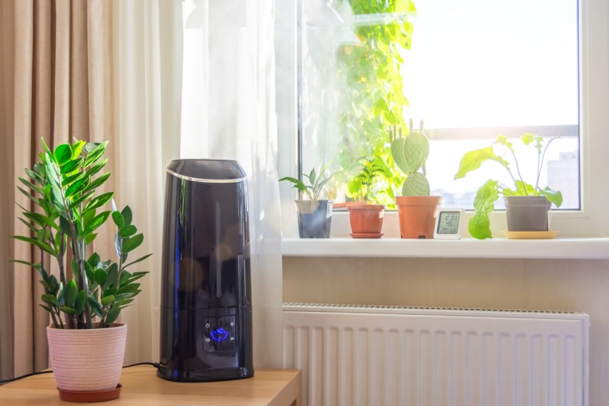 humidifier indoors for plants