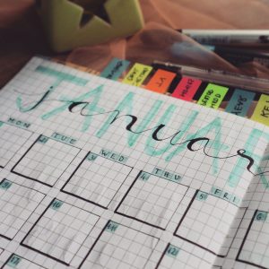January garden planning calendar