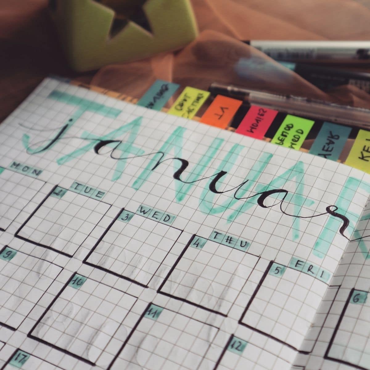 January garden planning calendar