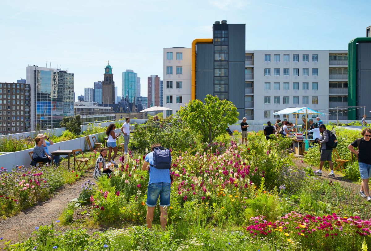 People enjoying an urban garden