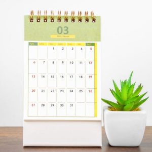 Calendar showing month March near pot with plant