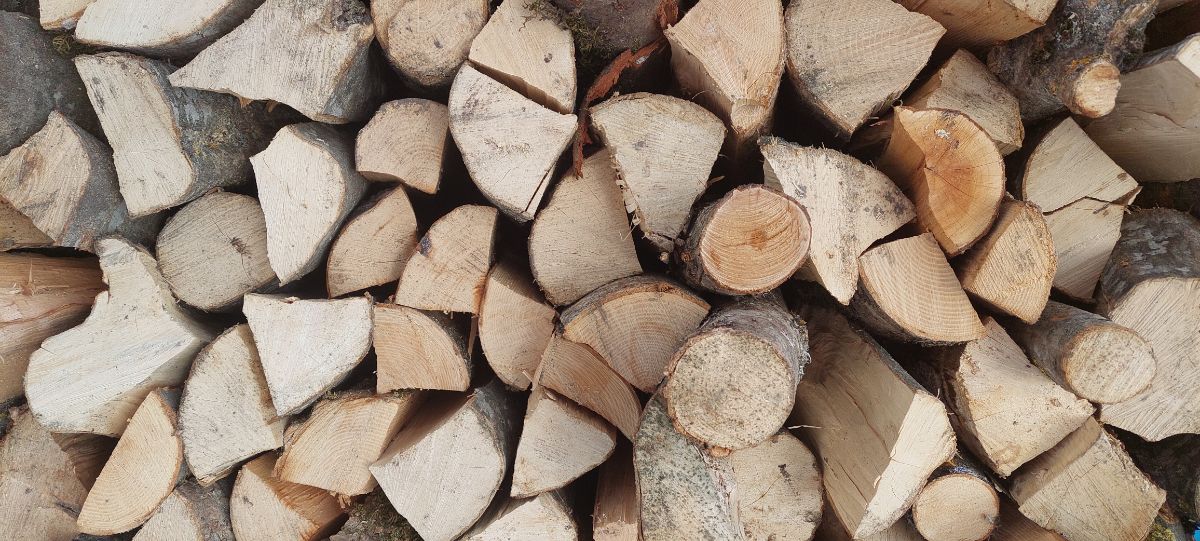cut and split pile of wood for burning
