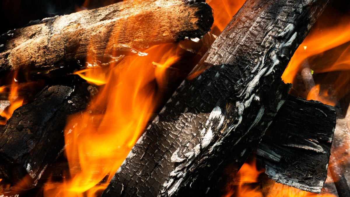 8 Uses for Wood Ash In Your Home, Garden, and Plants - This Old House