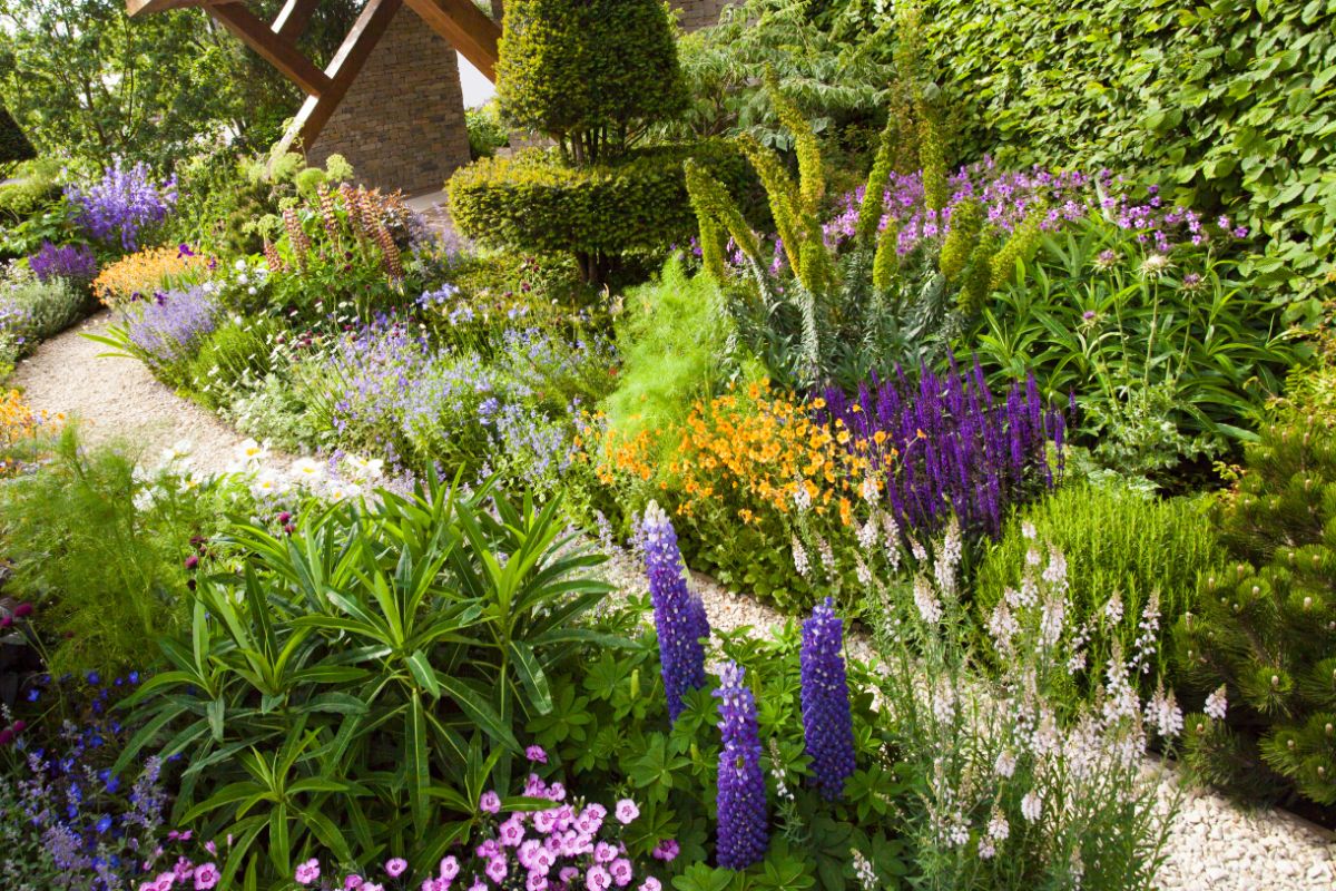 A white stone pathway meandering through a perennial patch