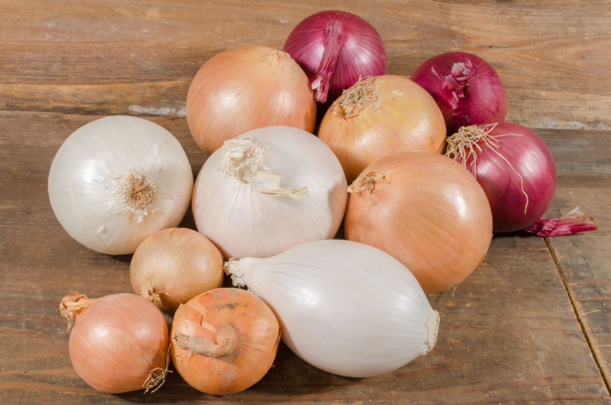 red, brown, and white onions