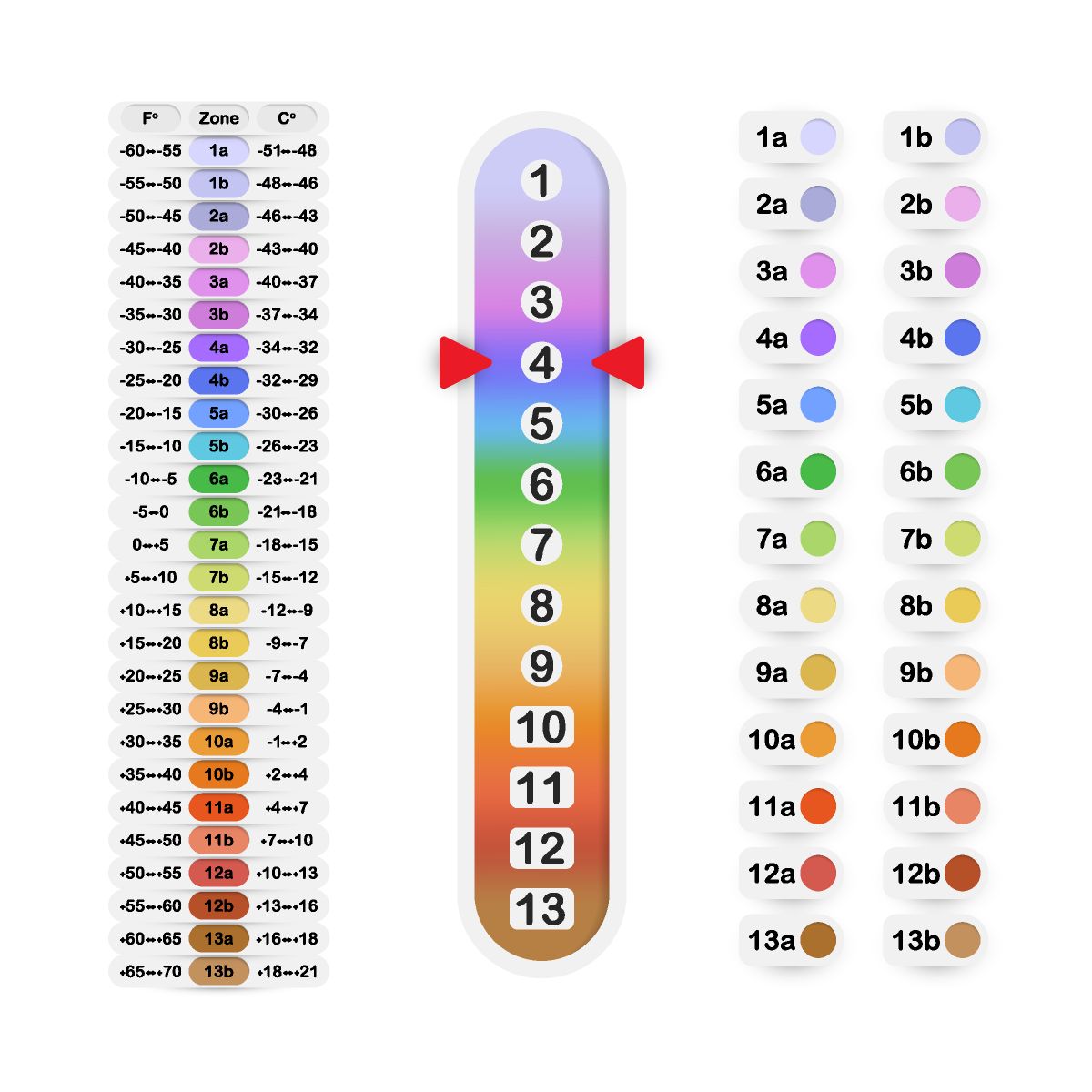 Growing zone plant hardiness graphic