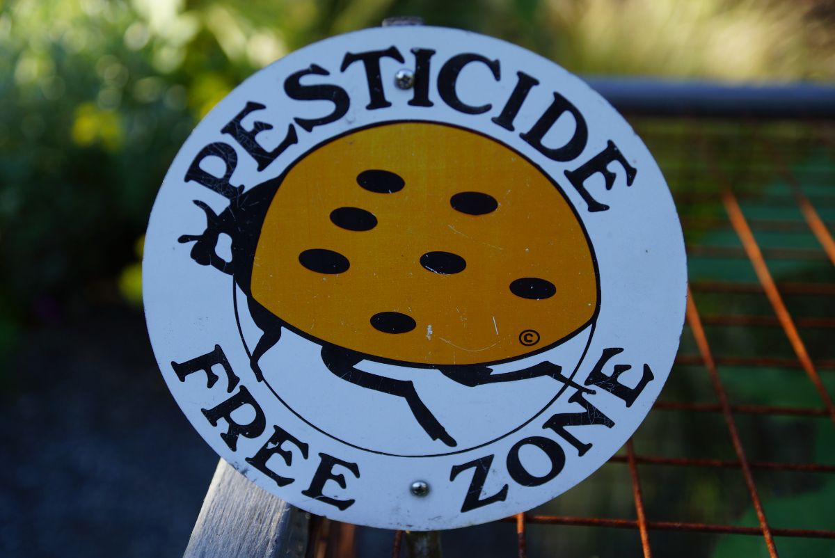 Ladybug sign stating, "Chemical Free Zone"
