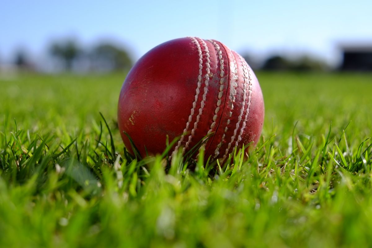 a red ball on a plush green lawn