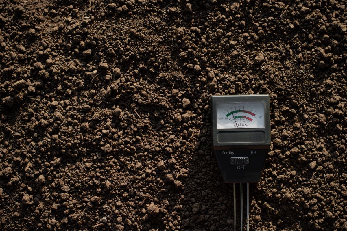 home soil tester laying on fresh unplanted soil