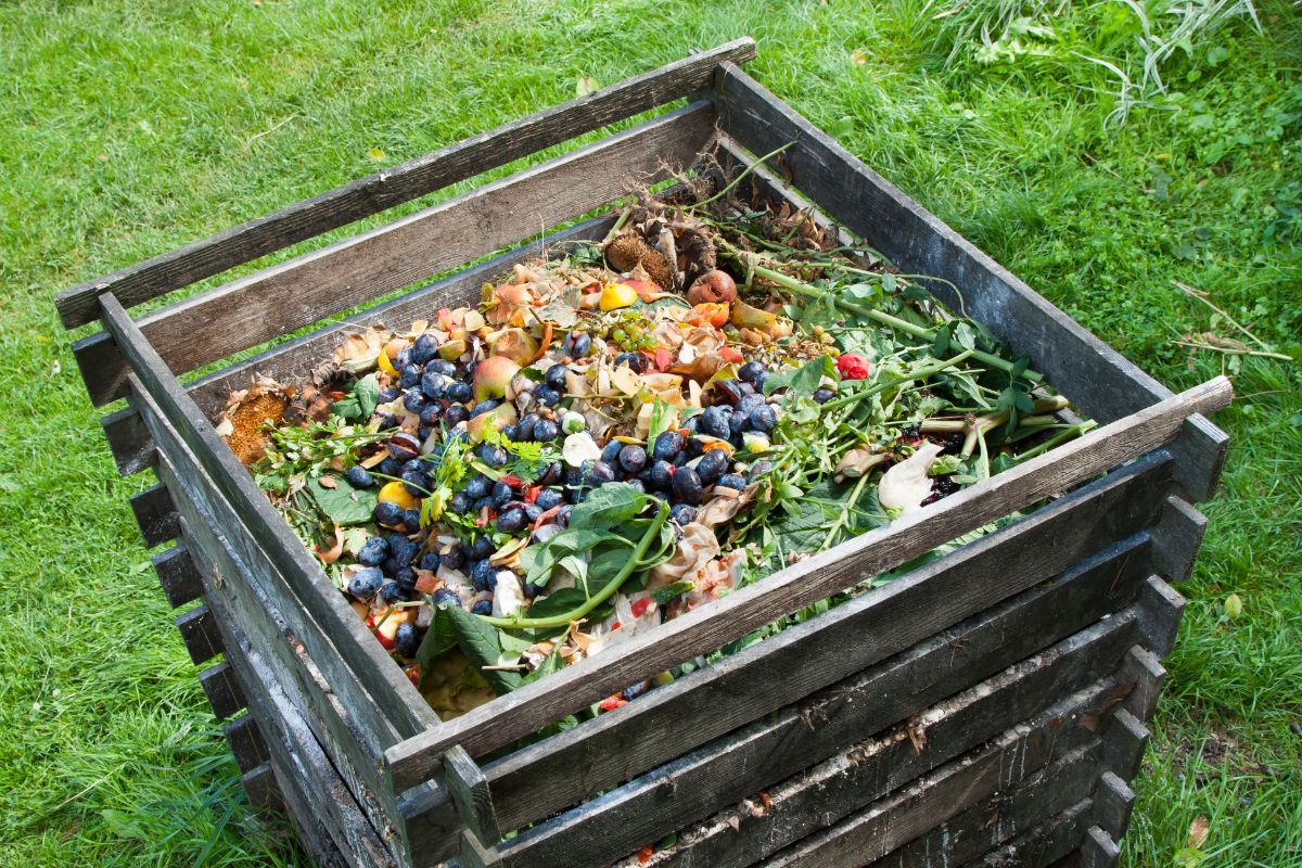 A compost bin with fruit and vegetable waste on top