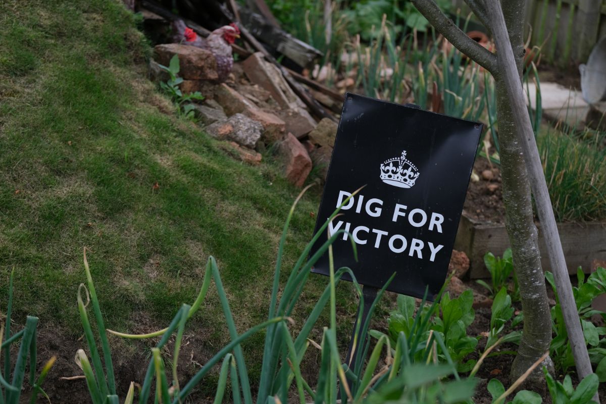 Victory Garden with a "Dig for Victory" sign 