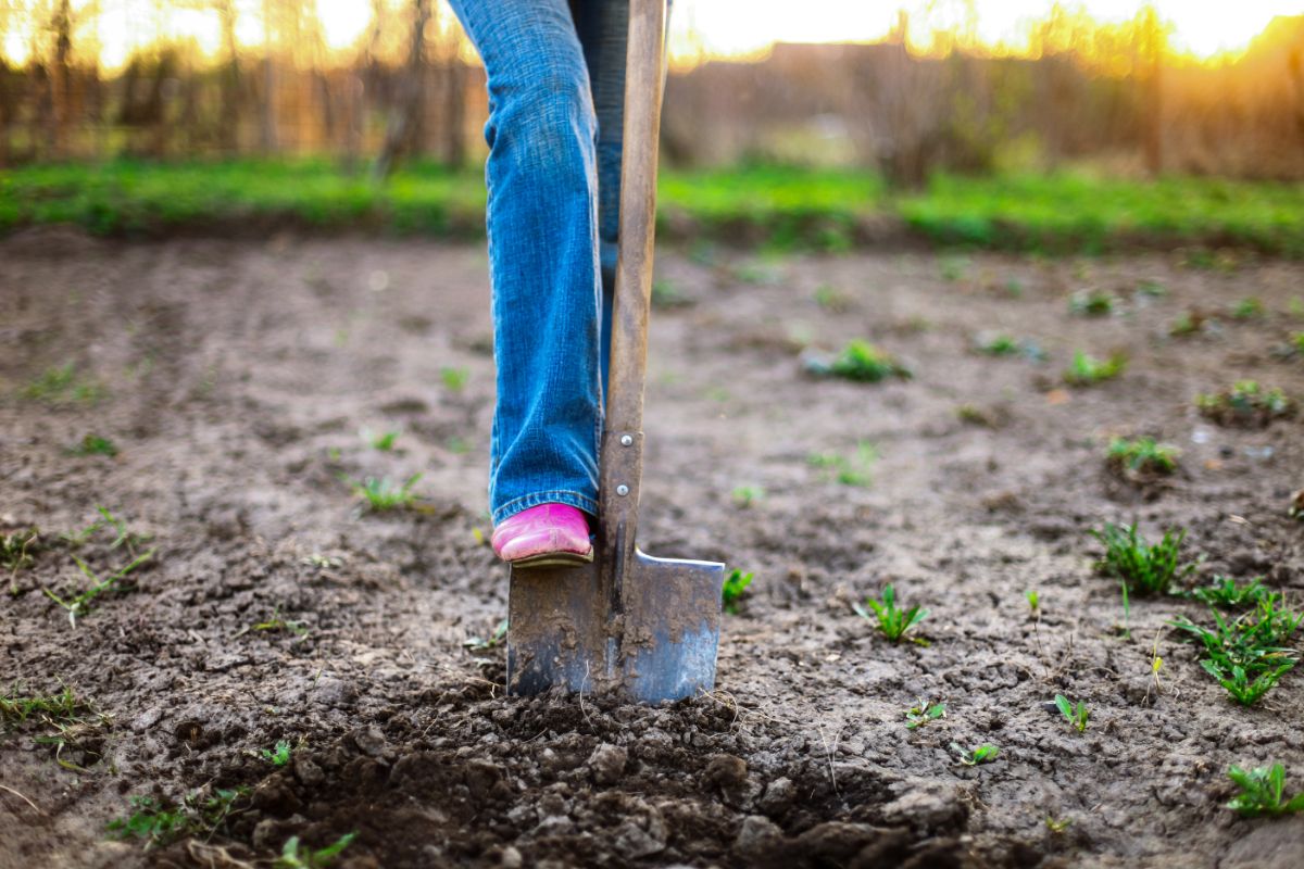 woman in pink boots digging in soil with a shovel