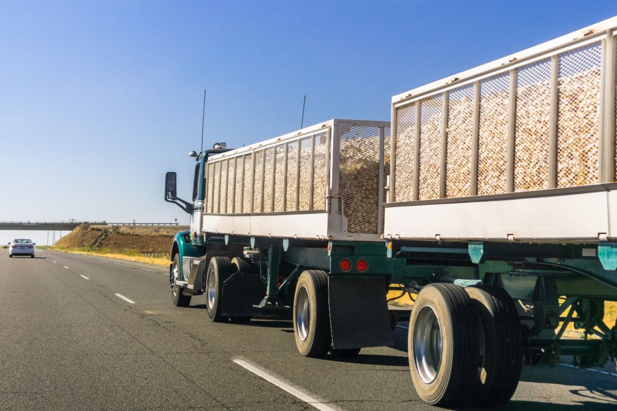 Tractor trailer truck filled with corn being transported