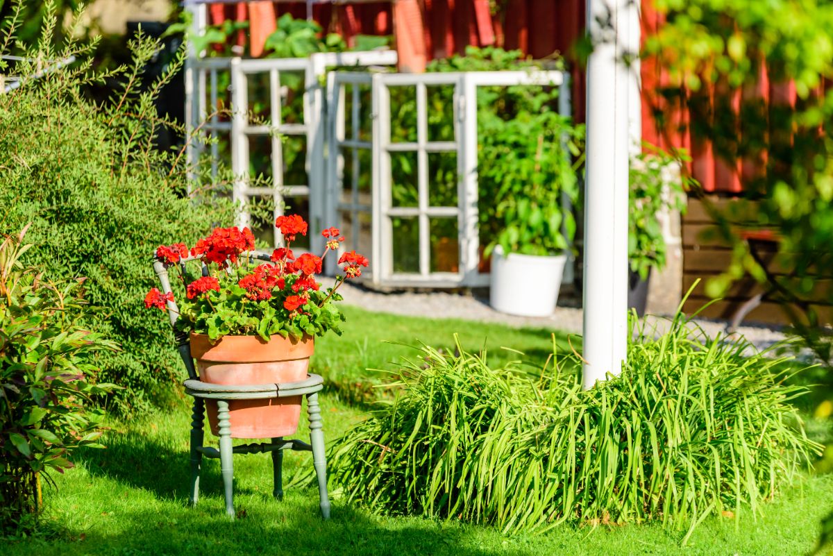 Garden with up-cycled planter, container in chair seat.