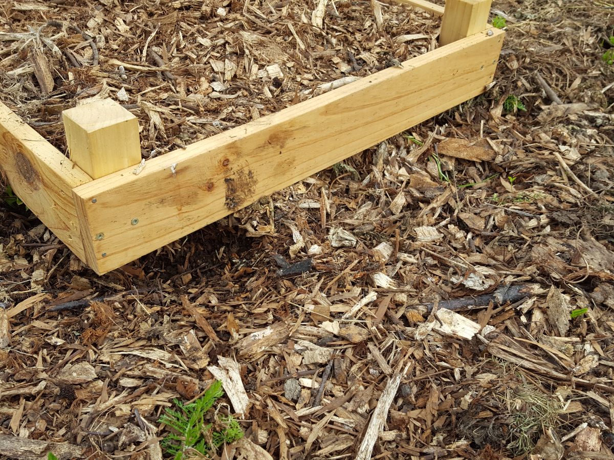 mulching new garden beds for planting