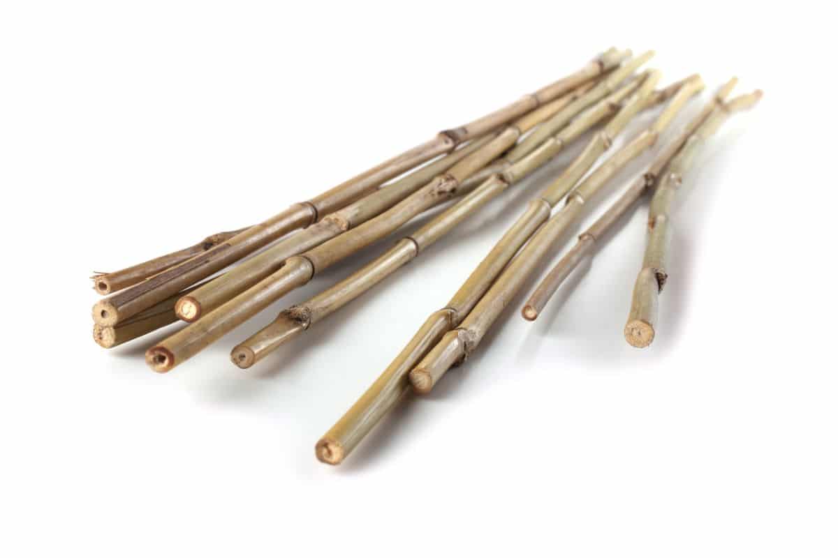 A set of bamboo sticks being repurposed for micro gardening