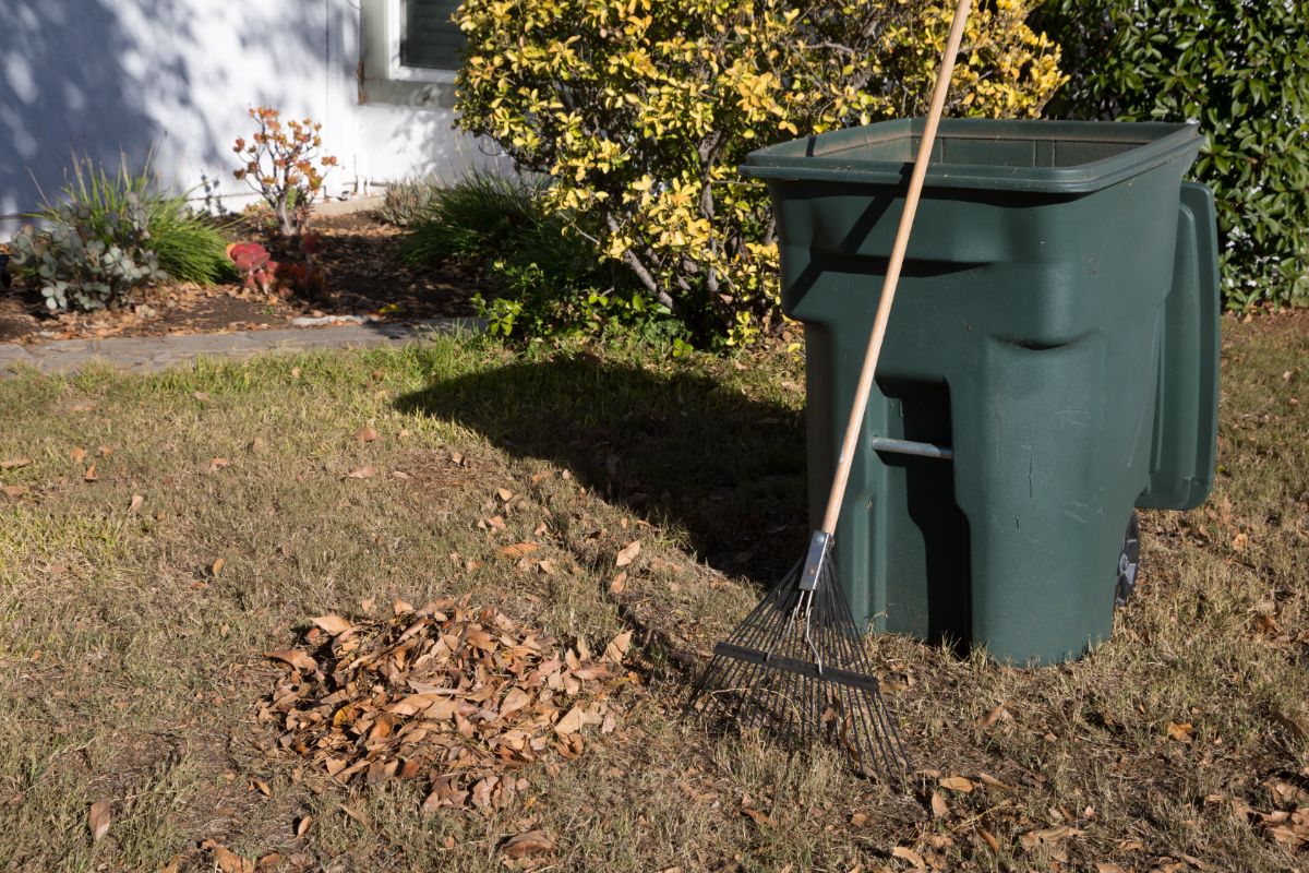 rake next to garbage bin - spring yard and garden cleanup