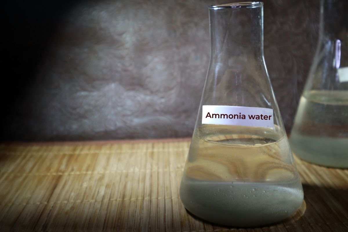 A bottle with diluted ammonia water for fertilizing plants