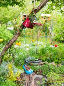 cropped-1-sustainable-garden.jpg