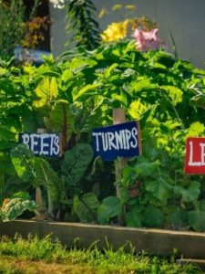 cropped-7-reasons-to-grow-modern-day-victory-garden-fb.jpg