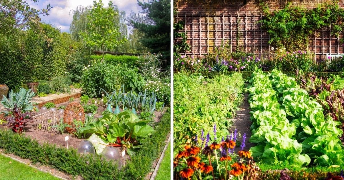 Edible landscape gardening examples.