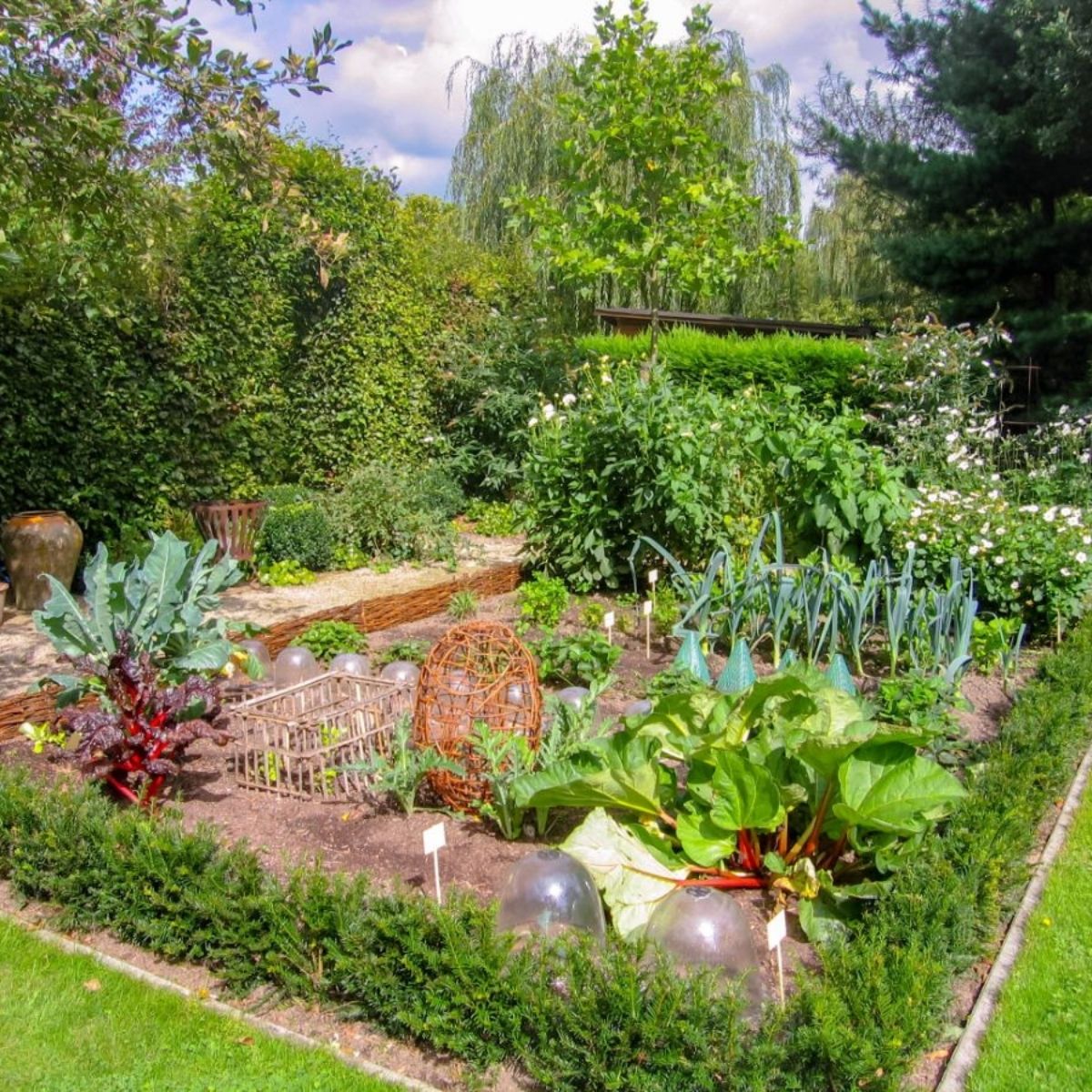 How to Create an Edible Landscape and 5 Reasons Why You Should