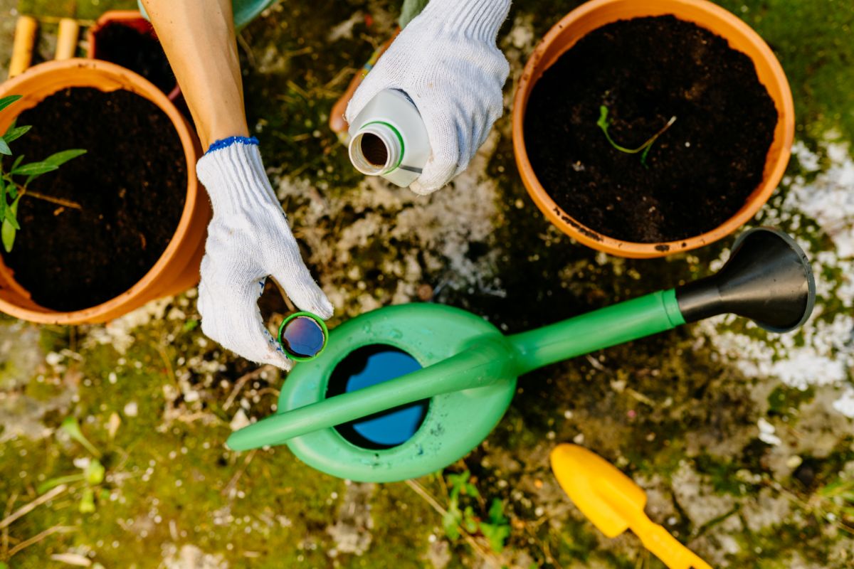 Preparing water soluble fertilizer